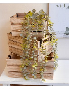 Caja madera contrachapado...