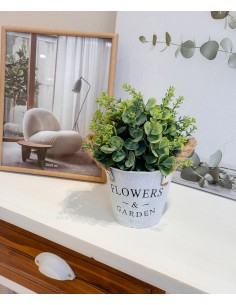 Planta hojas verdes en...