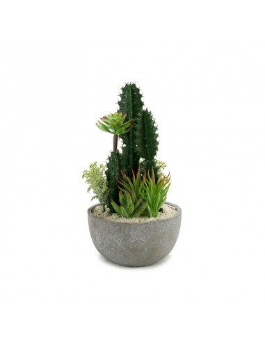 Centro decorativo suculentas maceta...