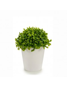 Maceta blanca con hojas verdes