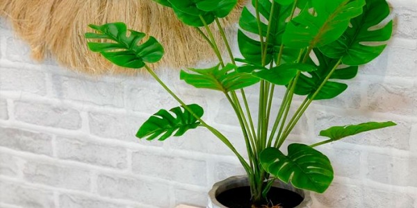 Decora tu hogar con plantas artificiales
