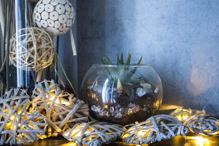 Aprende a decorar tu casa con plantas